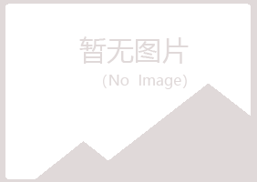 澳门夏岚采矿有限公司